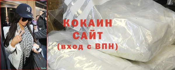 Альфа ПВП Бородино