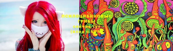 Альфа ПВП Бородино