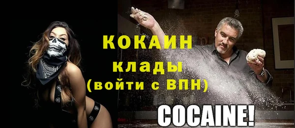 шишки Богородицк