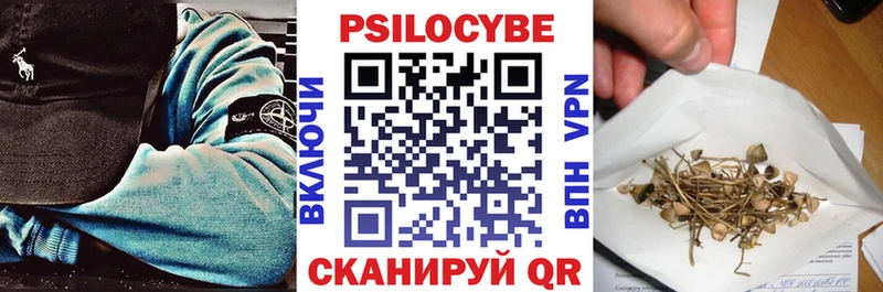 наркота  Горно-Алтайск  Псилоцибиновые грибы ЛСД 